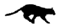 {image of a cat}