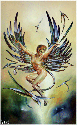 Winged Arts